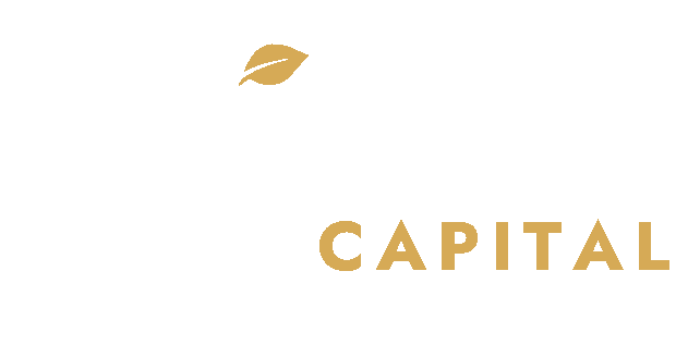 Ustawi Capital Advisory